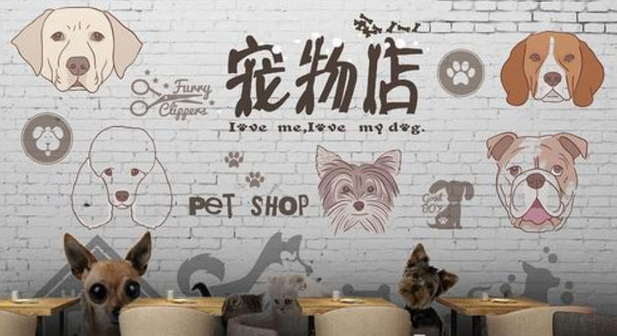 宠物店会员管理系统